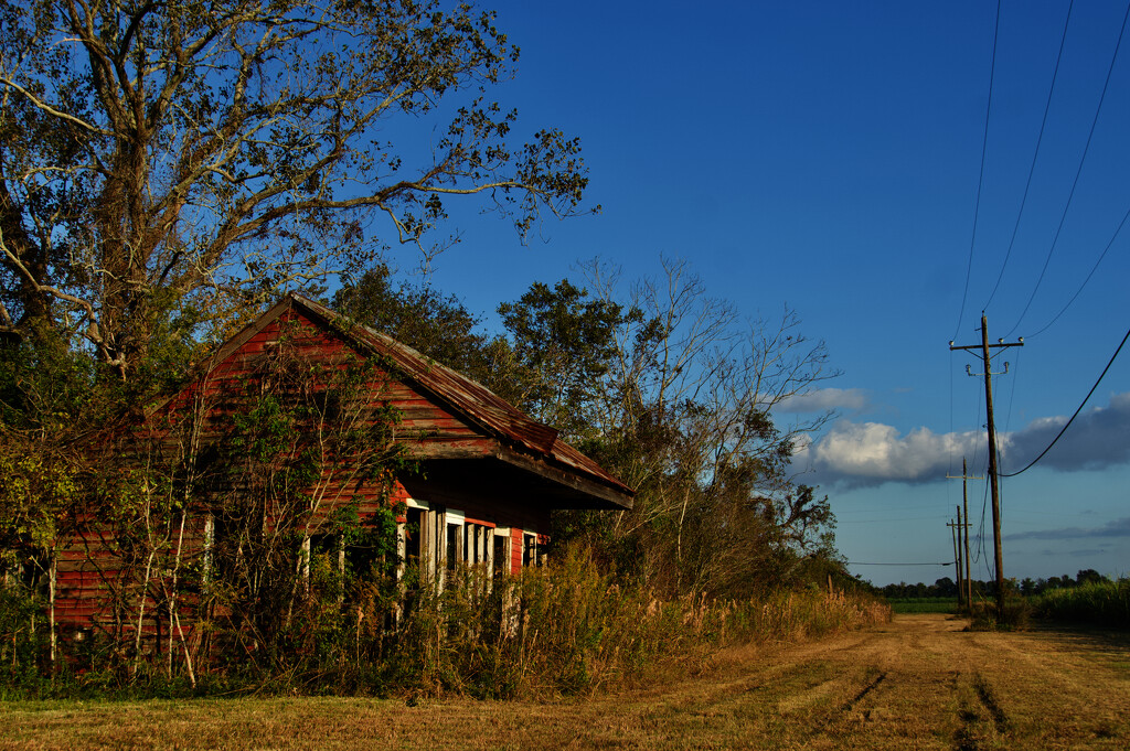 Allandale Quarters  by eudora