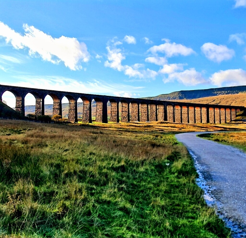 The Glorious Ribblesdale Viaduct. by teresahodgkinson
