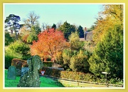 7th Nov 2021 - Village View,Great Brington