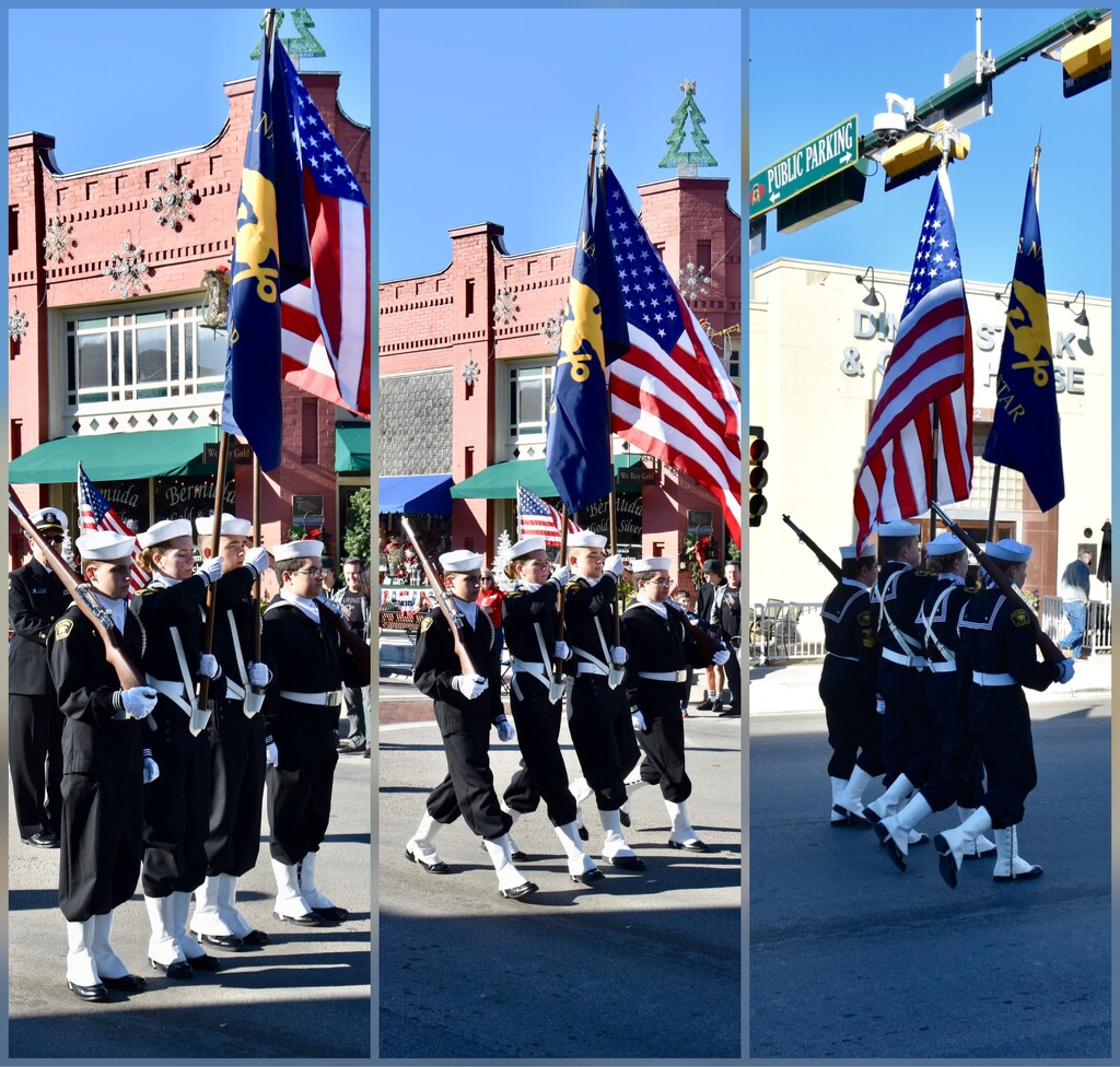 The Veterans Day parade by louannwarren