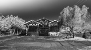 7th Nov 2021 - grafitti house