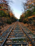7th Nov 2021 - Along the tracks