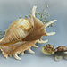 Tiny and the seashell. by wendyfrost