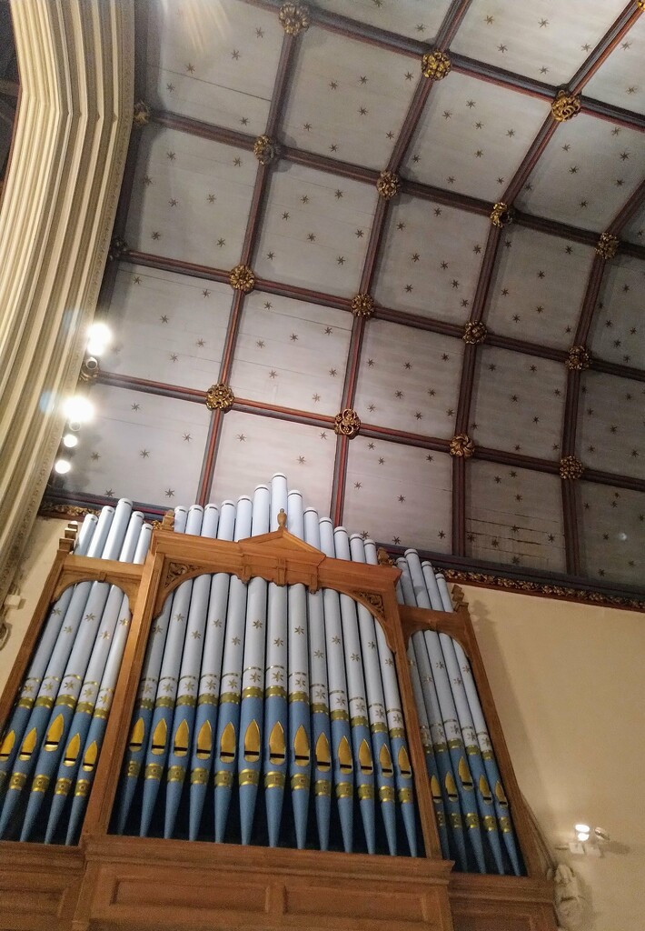 Organ and ceiling by boxplayer