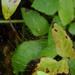 Spider web by parisouailleurs
