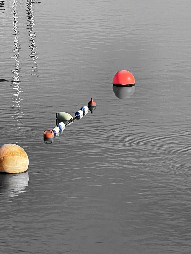 Buoys in Forton Lagoon by bill_gk
