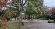 5th Nov 2021 - Looking autumnal in the gardens now