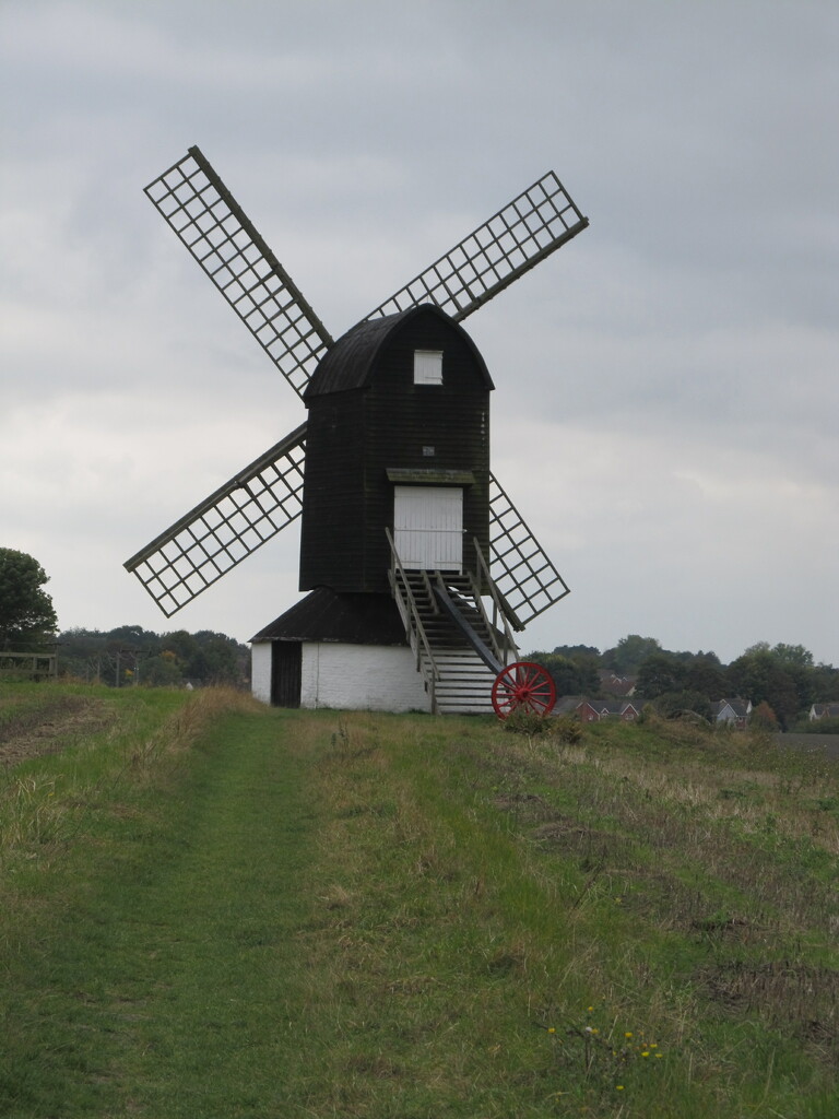 The way to the Windmill by speedwell