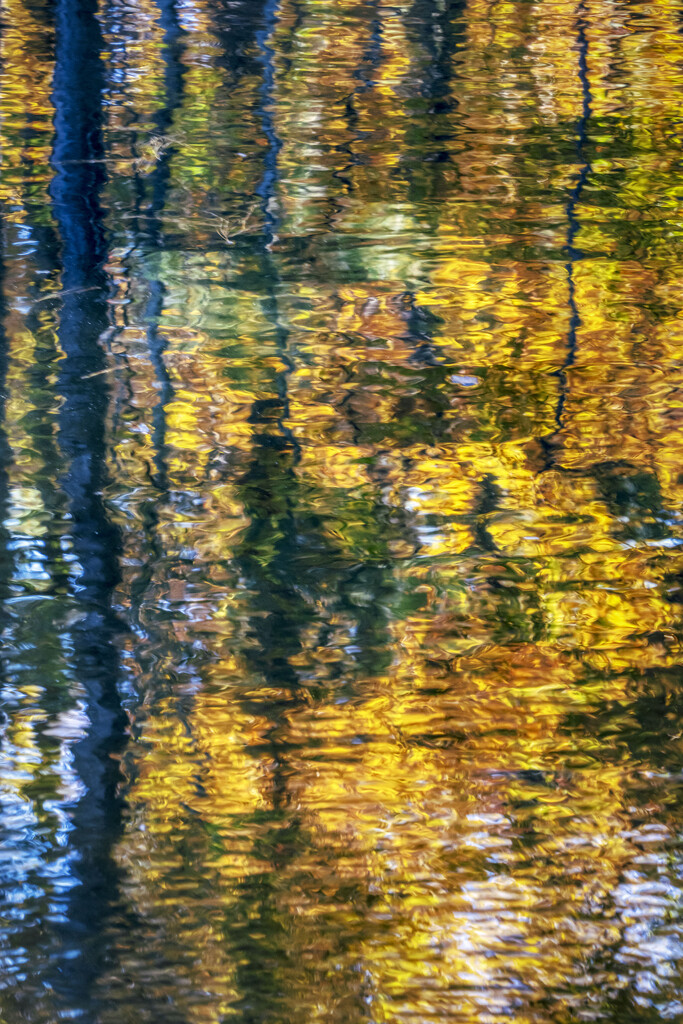 Autumn Reflections by kvphoto