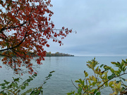 9th Nov 2021 - Walk by the lake. 