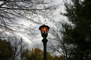 7th Nov 2021 - Street Lamp
