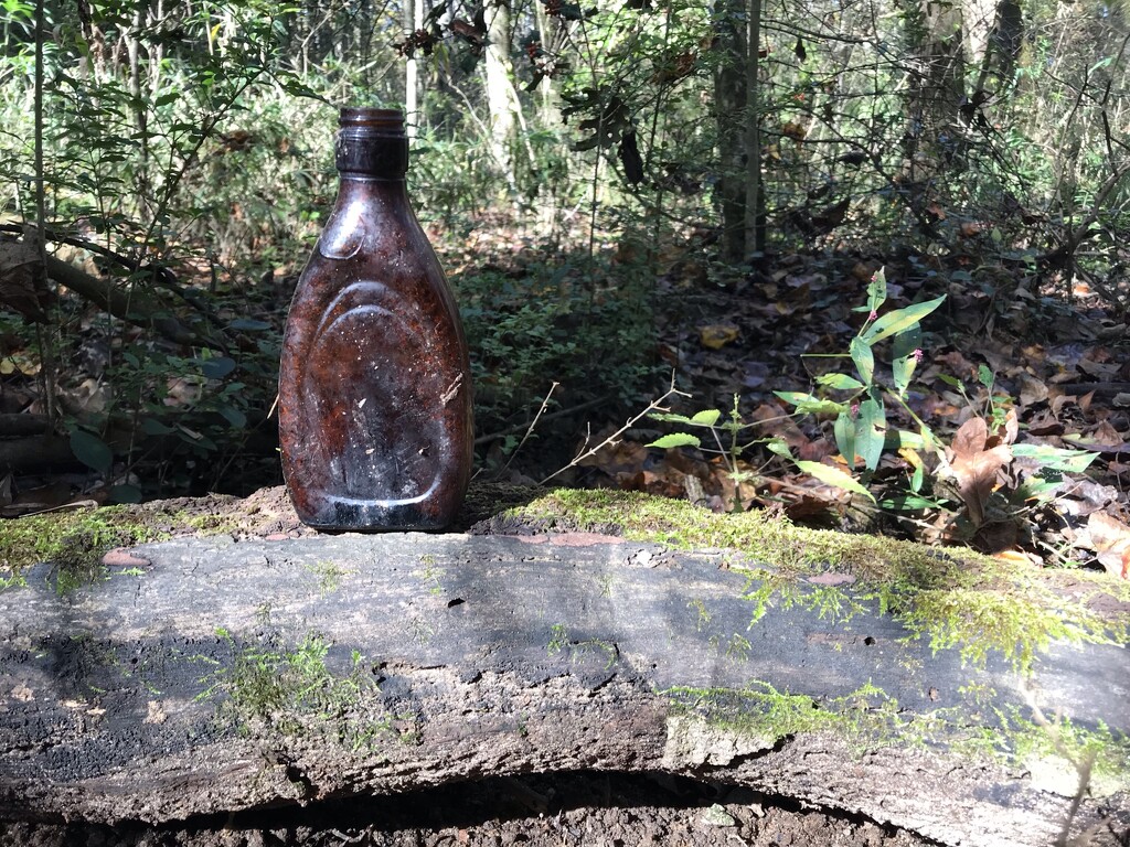 Old Bottle of the Woods by gratitudeyear