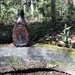 Old Bottle of the Woods by gratitudeyear