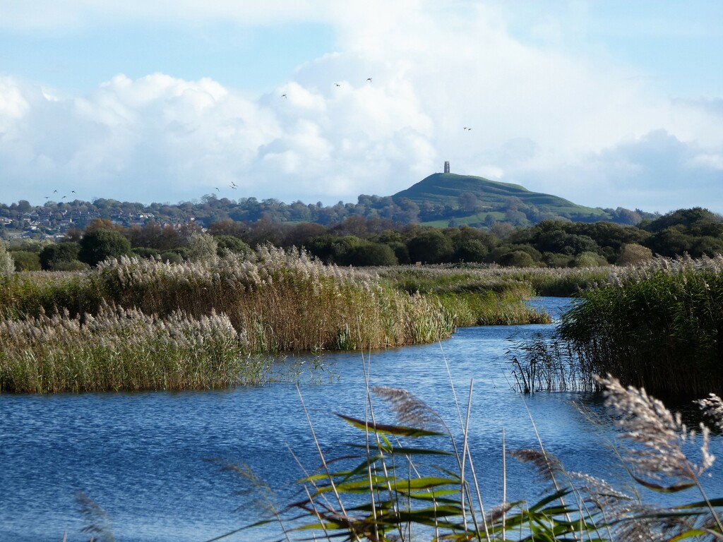 Across the Avalon marshes by julienne1