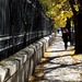 Autumn street view of Budapest by kork