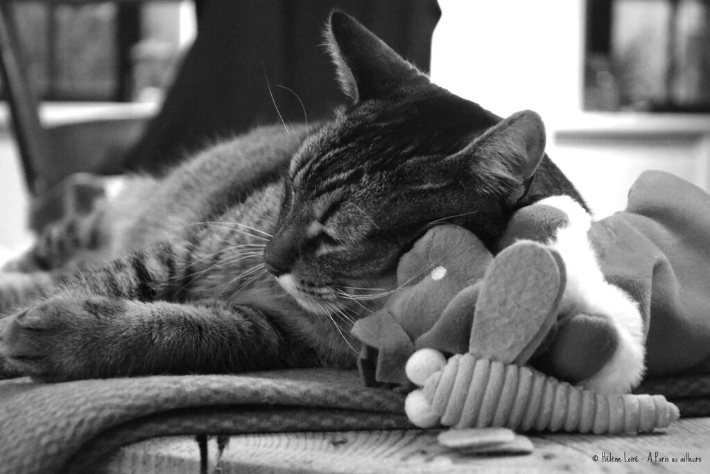 sleeping with toys by parisouailleurs