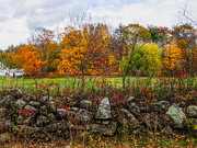 7th Nov 2021 - Iconic New England Autumn Scene