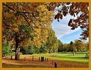 9th Nov 2021 - Autumn In The Park