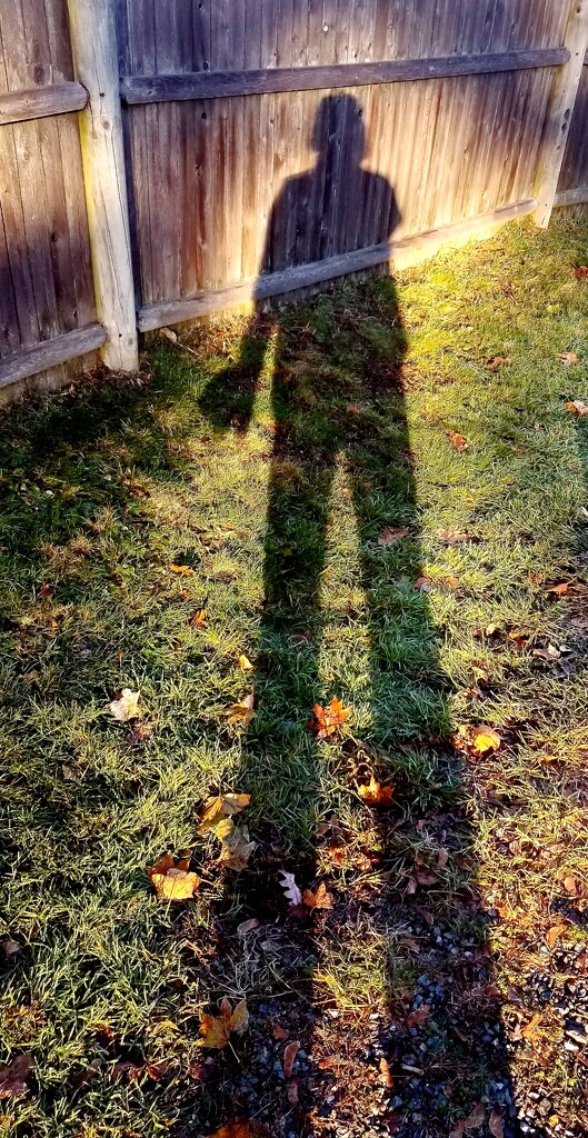 My Shadow. by meotzi