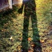 My Shadow. by meotzi