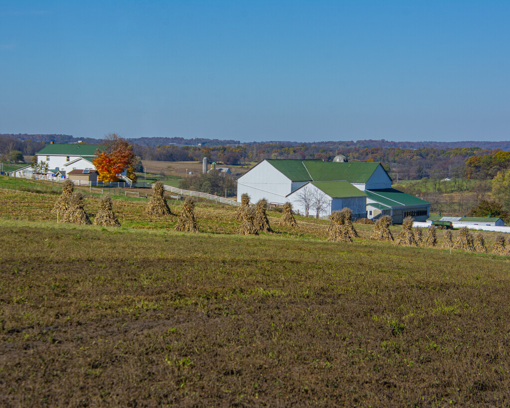 Amish Farm Scene by cwbill