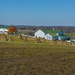 Amish Farm Scene by cwbill