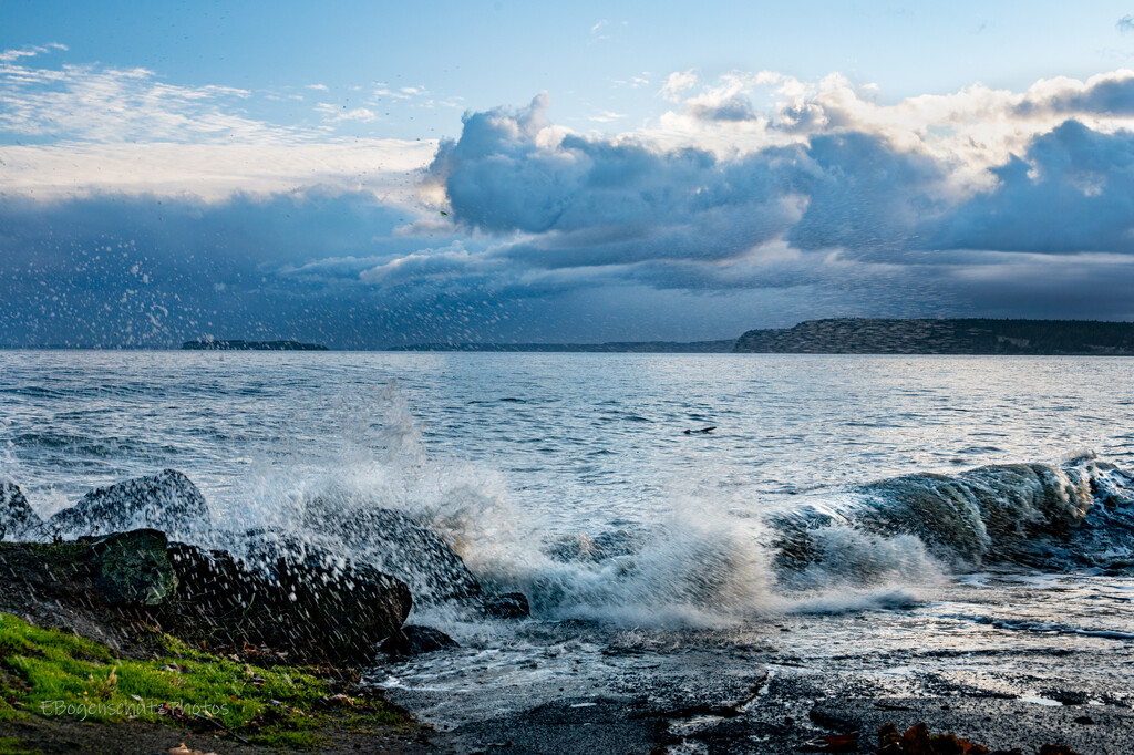 Seaside Landscape Interested in Critique 2 with toned down water-7399 by theredcamera