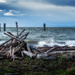 Driftwood Shelter by cdcook48
