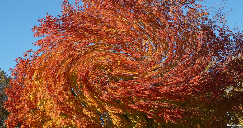 Autumn leaves 2 by larrysphotos
