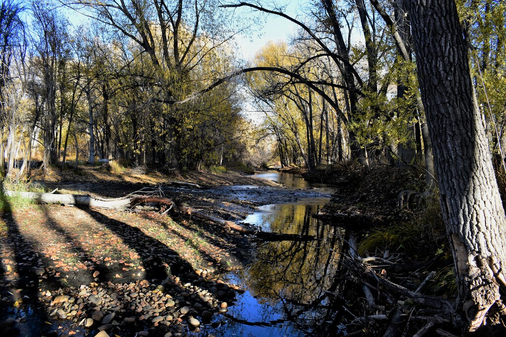 Cache La Poudre River by sandlily