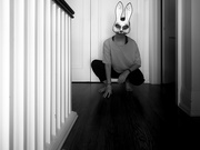 5th Nov 2021 - portrait of a rabbit