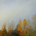 A Faint Rainbow by mitchell304