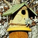 Birdhouse  by harbie