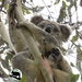 love them feets by koalagardens