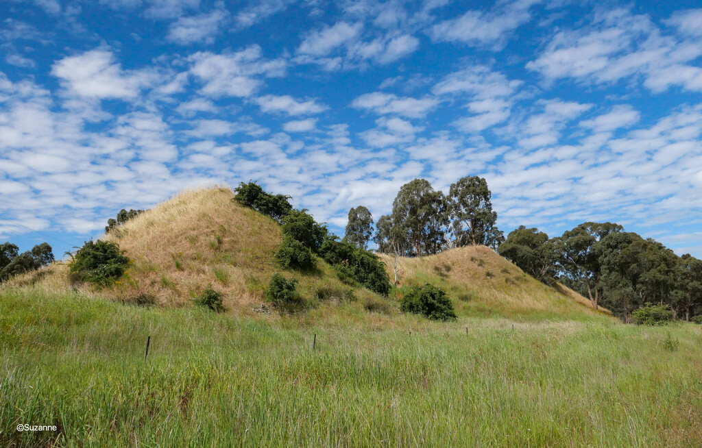 Great Southern Consols Gold Mine, Rutherglen—remaining mullock heaps by ankers70