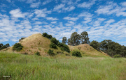 11th Nov 2021 - Great Southern Consols Gold Mine, Rutherglen—remaining mullock heaps