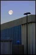 21st Jan 2011 - Moonset