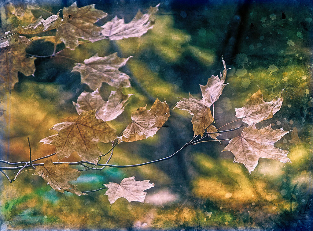 Paper Leaves by gardencat