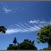 Silver Fern Clouds by dide