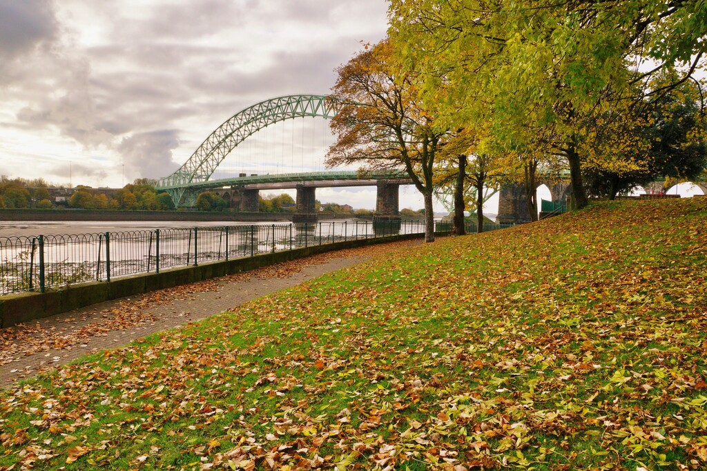 THE BRIDGE IN AUTUMN  by markp