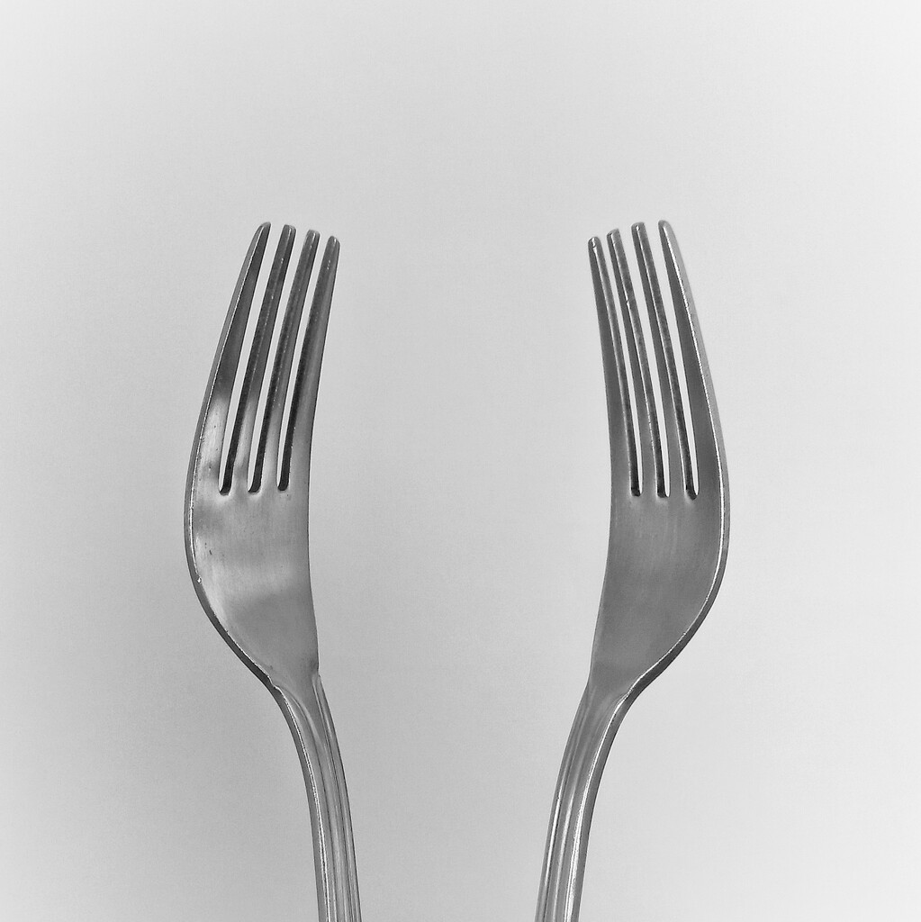 Forks  by salza