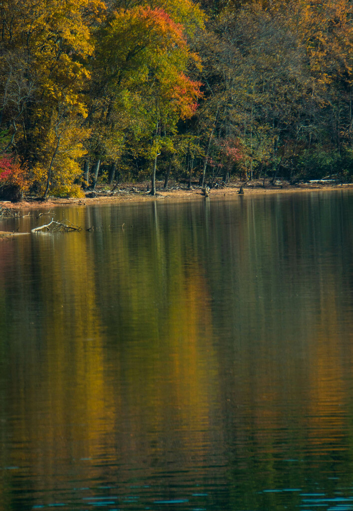 Reflections of fall by randystreat