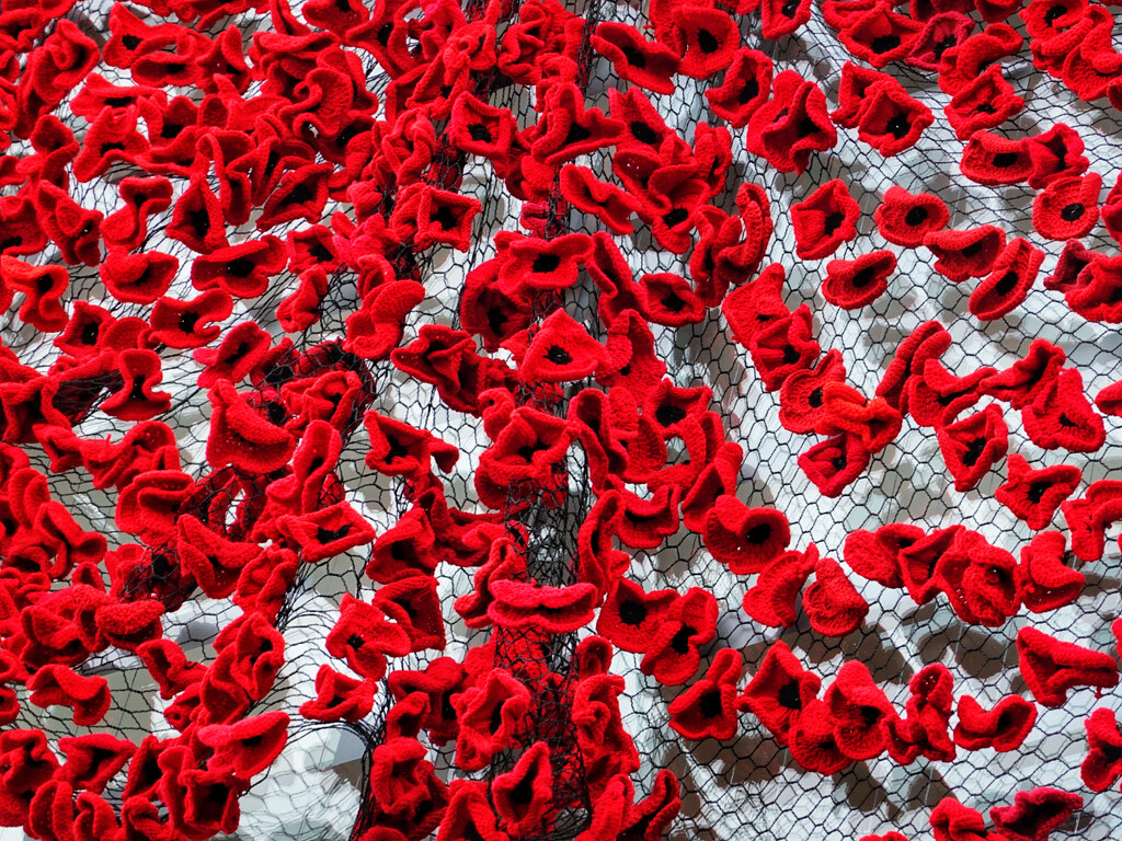 The Poppy Project - detail by ljmanning