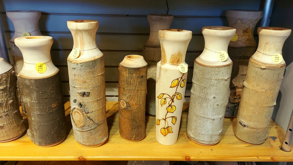 Aspen Vases by harbie