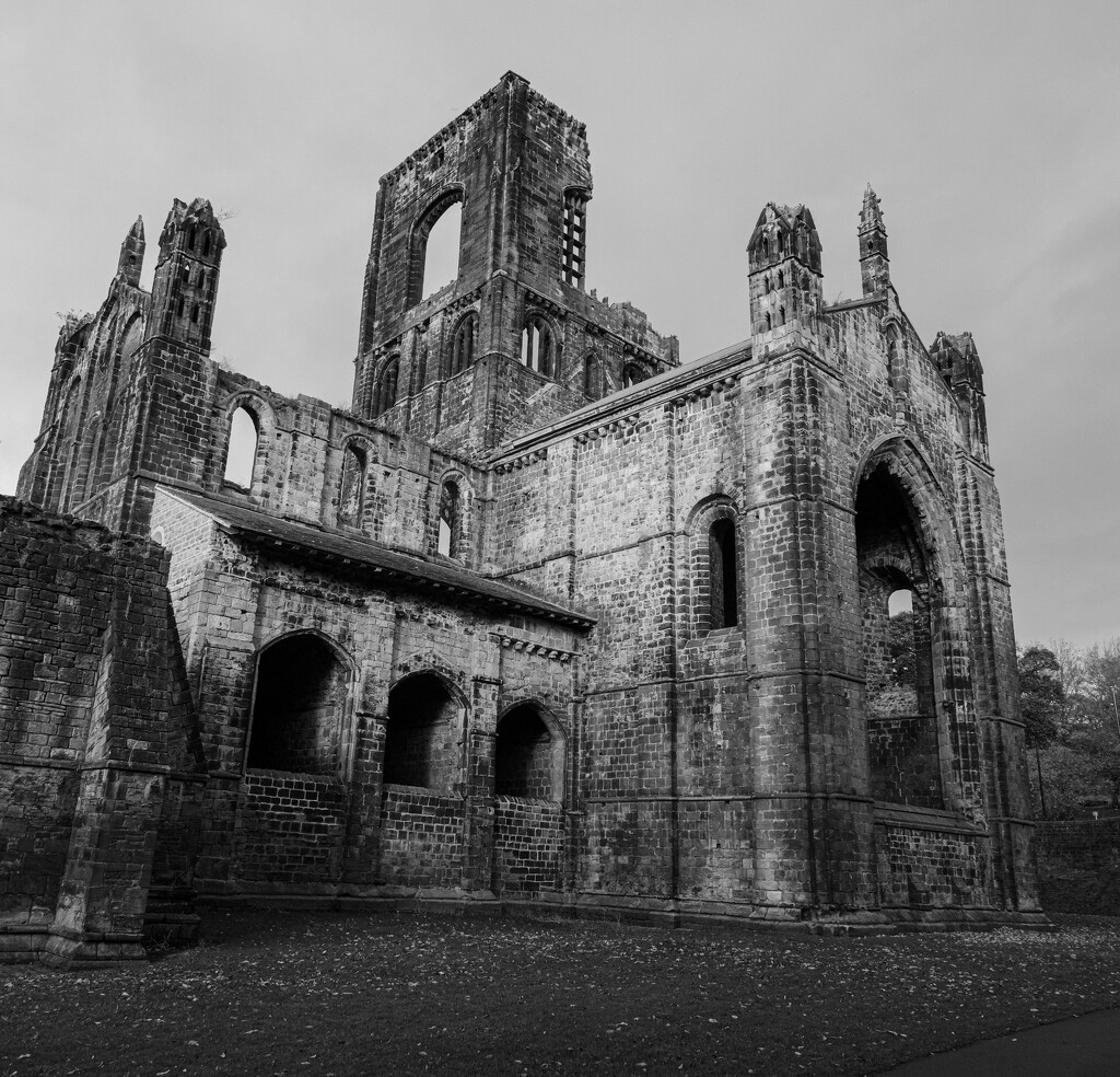Kirkstall Abbey, Leeds by 365nick