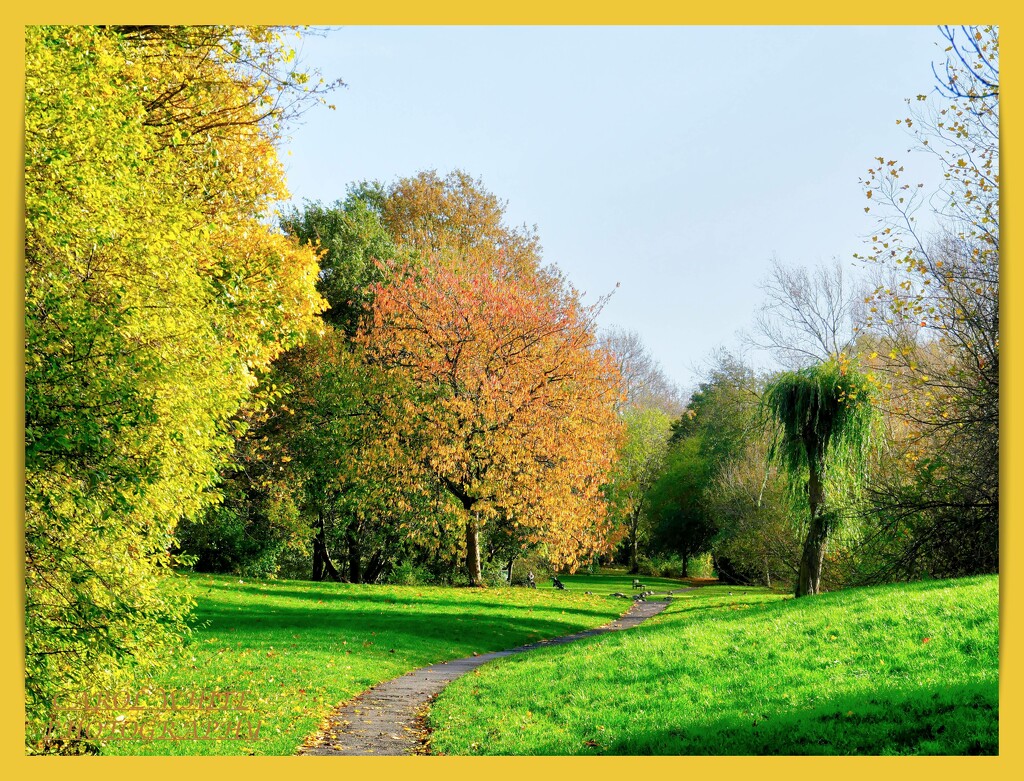 Hunsbury Country Park by carolmw