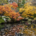 Autumn Colors at Gibbs Gardens by k9photo