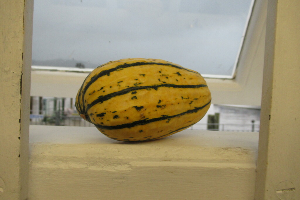 I took an ornamental gourd to work by anniesue