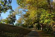 13th Nov 2021 - Low Hanging Branch