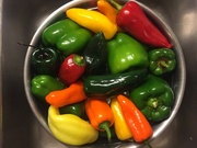 4th Nov 2021 - Time to make pepper relish